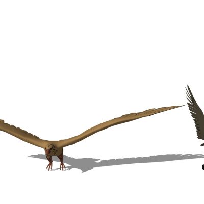 老鹰飞鹰动物雕塑