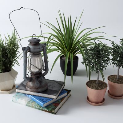 现代盆栽 煤油灯 书籍