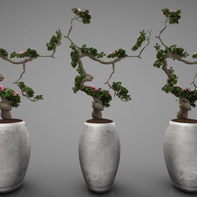 新中式风格植物摆件00001158(2016)