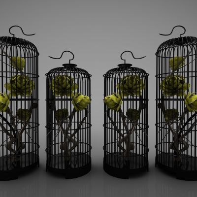 新中式风格鸟笼装饰摆件295(2016)