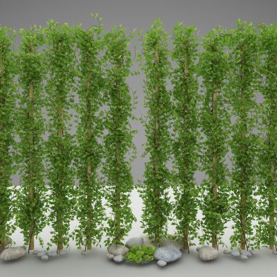 现代风格植物墙00001171(2016)