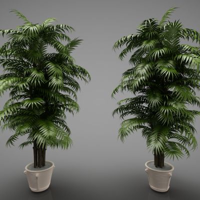 现代风格植物302(2016)