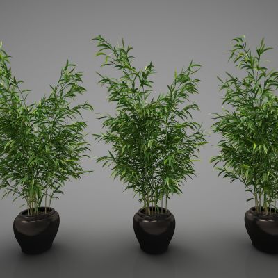 现代风格植物竹子60(2016)