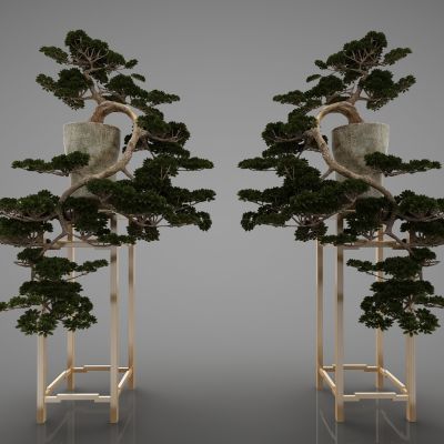 现代风格植物摆件90(2016)