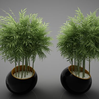 现代风格植物40(2016)