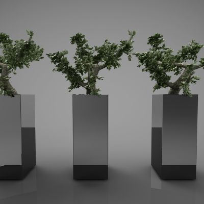 现代风格植物组合69(2016)