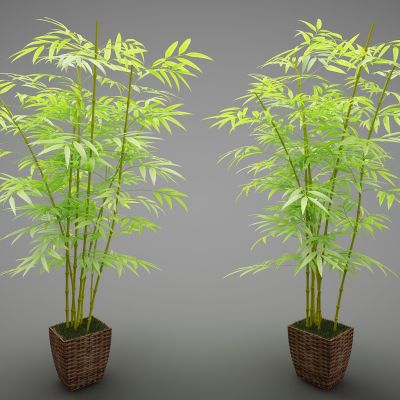 现代风格植物盆栽382(2016)