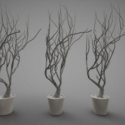 现代风格植物摆件392(2016)