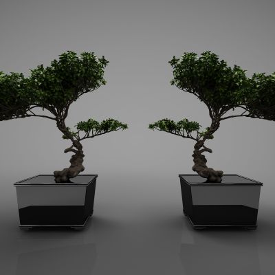 现代风格植物盆栽421(2016)