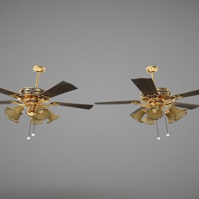 现代风格风扇吊灯