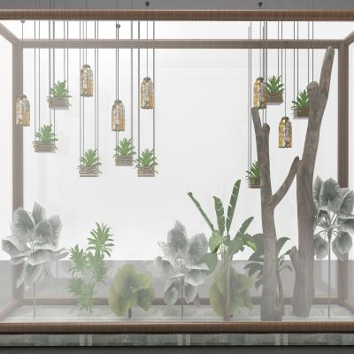 现代风格植物装饰