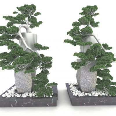 新中式风格植物