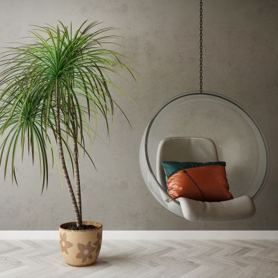  家具饰品组合3D模型