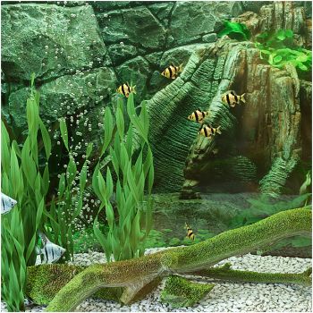 水族馆 鱼缸 水草缸 