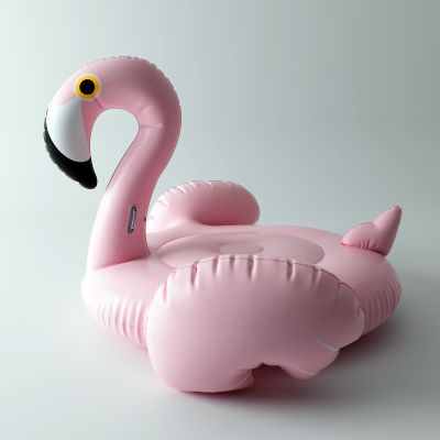 现代烈火鸟游泳圈