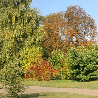 高清宽幅背景素材