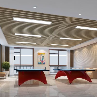 新力电业乒乓球室