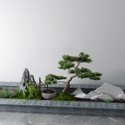 新中式盆景 松树