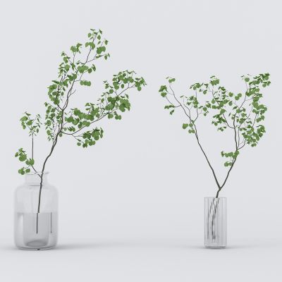 日式水生植物组合