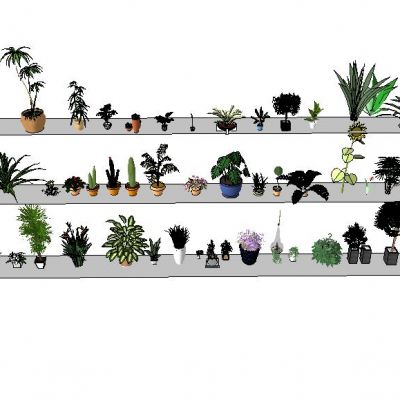 现代室内植物摆件小品SU模型