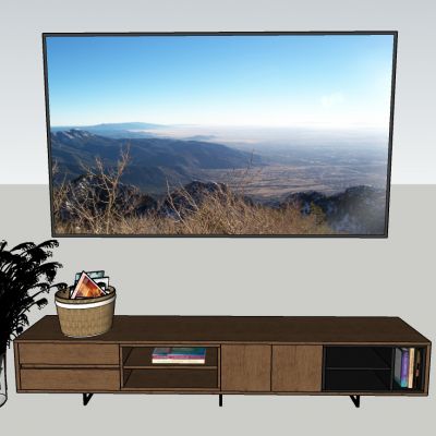 现代风格电视柜电视植物