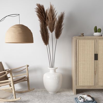 东南亚边柜 盆栽 吊灯 摇椅