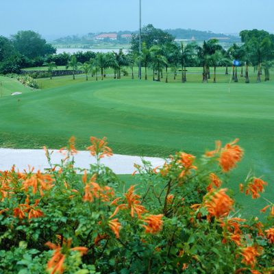 超高清宽幅背景素材