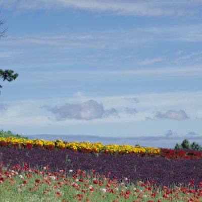 超高清宽幅背景素材