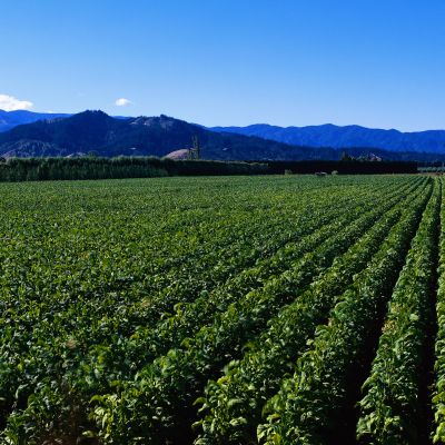 超清宽幅背景素材