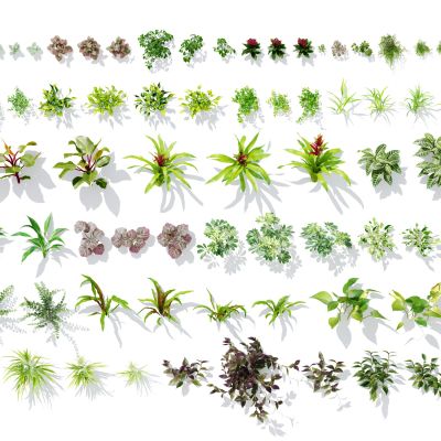 现代绿植墙植物，绿植植物，垂直绿化植物，灌木，花草，绿植墙花草，植物墙花草