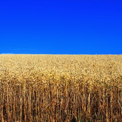 超高清宽幅背景素材