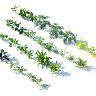 现代灌木花草，灌木，花草，植物，户外植物，园林植物，景观植物