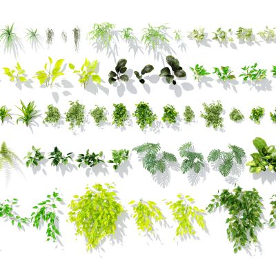 现代绿植墙植物，绿植植物，垂直绿化植物，灌木，花草，绿植墙花草，植物墙花草