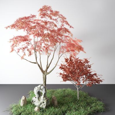 现代景观树 红枫 草 假山 石头