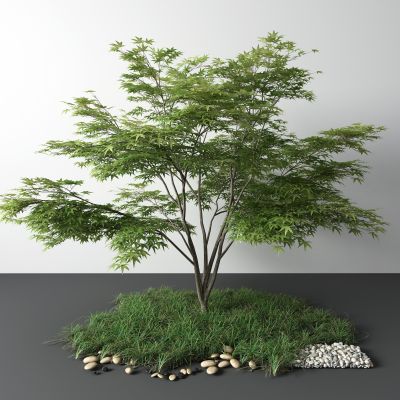 现代草 鹅软式 石头 景观树