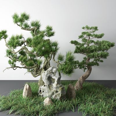 新中式景观树 松树 草 假山 石头