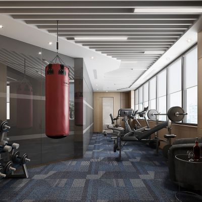 现代健身房 跑步机 拳击