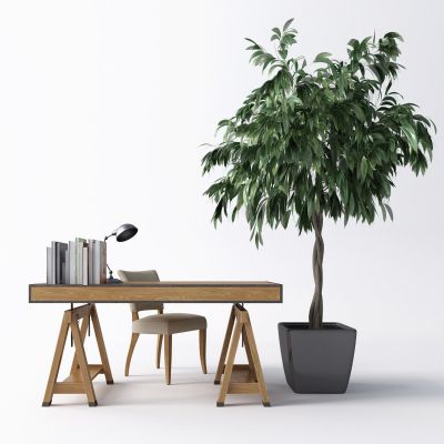 现代书桌休闲椅植物