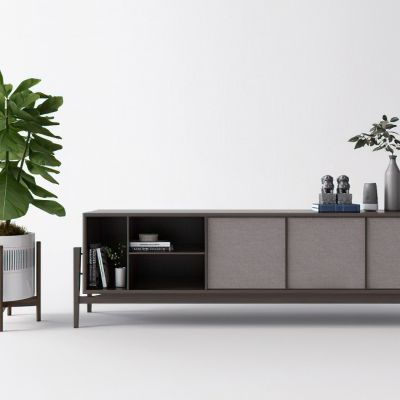 现代电视柜植物装饰品