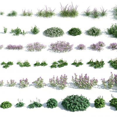 现代花草，灌木花草，花草花卉，园林植物，草堆3D模型
