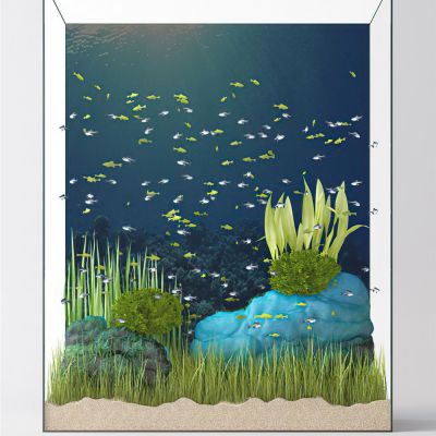 现代鱼缸水族箱