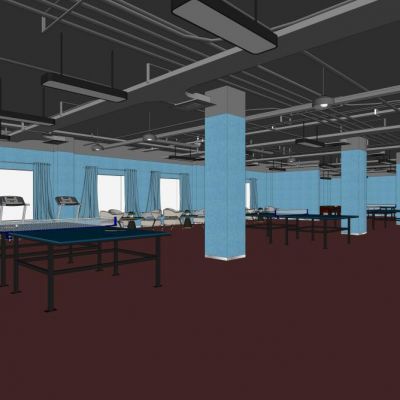 地下乒乓球室