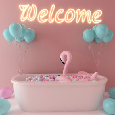 现代网红池海洋球