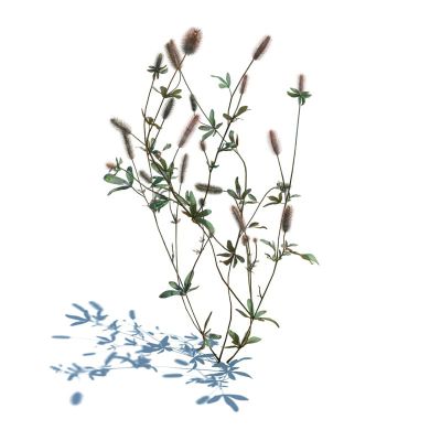 花草3D模型