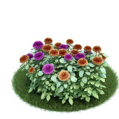 花草绿化3D模型