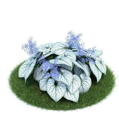 花草绿化3D模型
