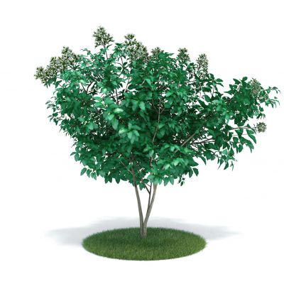 花草绿化3D模型