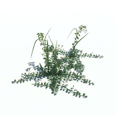 花草3D模型