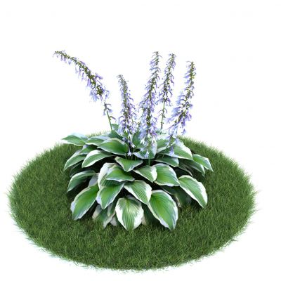 花草绿化3D模型