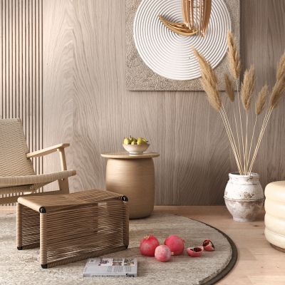 北欧休闲椅 稻穗 茶几